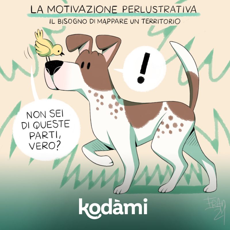 La motivazione perlustrativa