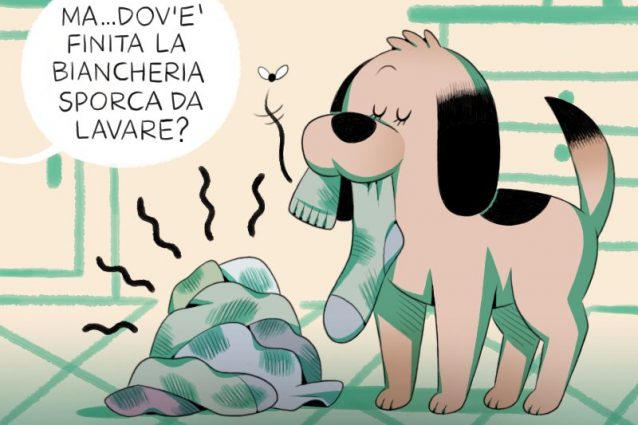 La motivazione sillegica