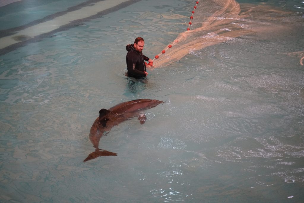 Kasya al Milad Tower’s Dolphinarium di Teheran. Foto di Katayoon Jahangiri e Moahamad Norouzian