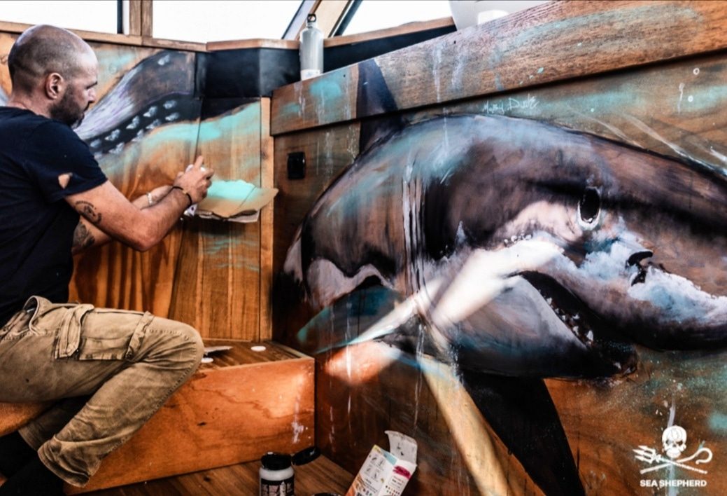 Un dettaglio dello squalo realizzato da Moby Dick per decorare l’interno della Conrad (credits Laura Marchini per Sea Shepherd)