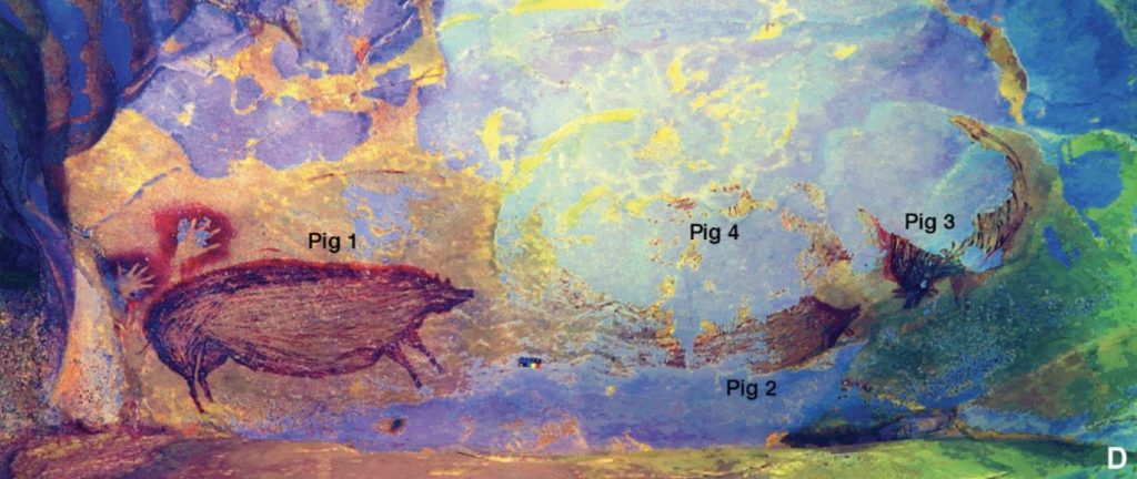Credits – Immagini tratte dal paper scientifico pubblicato su Science Advances