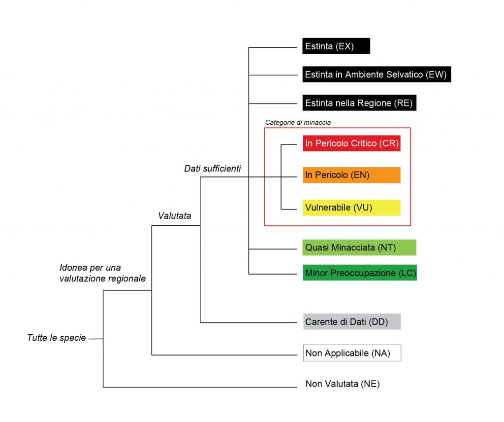 Le categorie della Lista Rossa IUCN