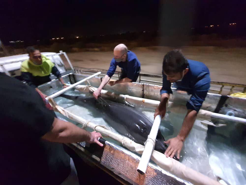Kasya viene trasferita in aeroporto. Foto di Katayoon Jahangiri e Moahamad Norouzian
