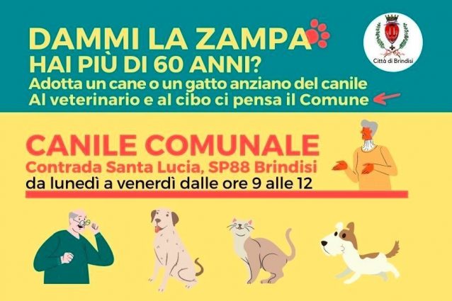 La locandina dell’iniziativa proposta dal Comune di Brindisi