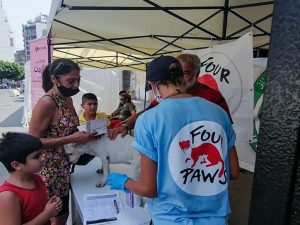 Dopo la riapertura della parte distrutta della città, l’associazione Four Paws ha allestito una tenda per offrire sostegno e prime cure mediche agli animali sopravvissuti all’esplosione. Il cane Scooby è uno di questi (credits: FOURPAWS/HristoVladev)
