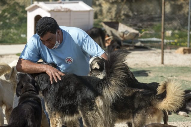 Il veterinario di Four Paws Amir Khalil è un veterano di zone di guerra e colpite da disastri ambientali. (credits: FOURPAWS/HristoVladiv