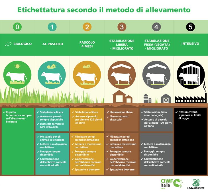 L’etichettatura presentata da CIWF e Legambiente