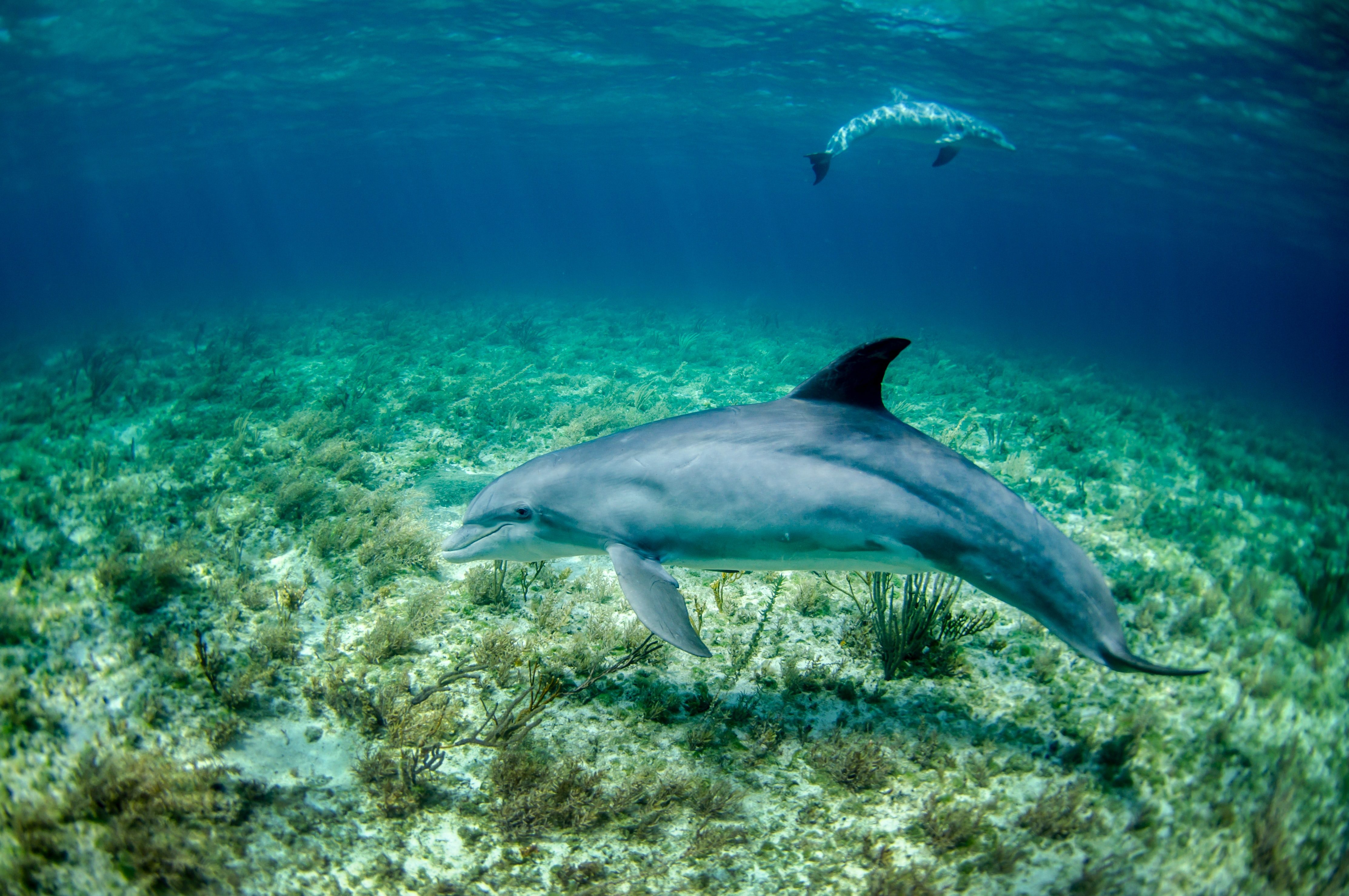 Photo by NOAA on Unsplash