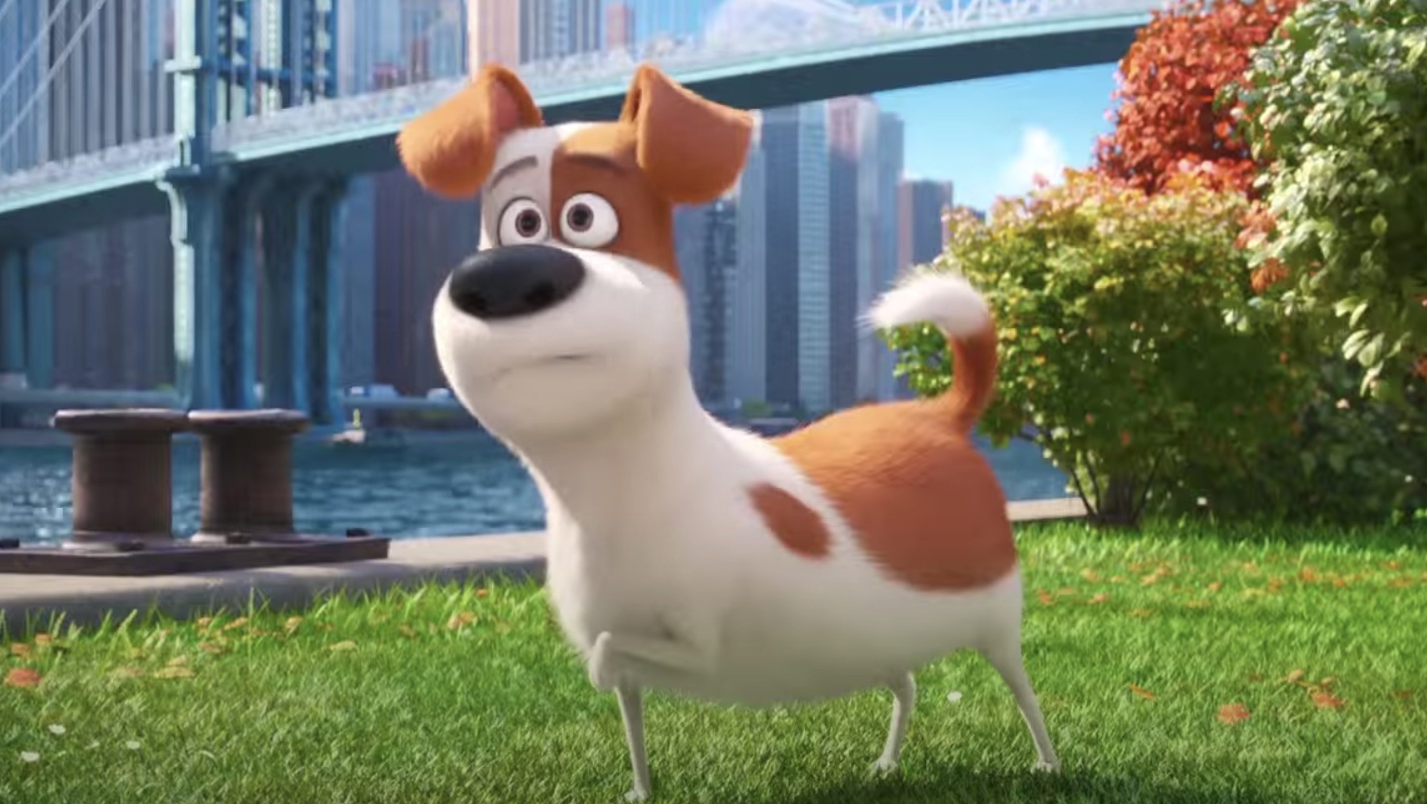 Включи говорящую собаку. Собака из мультика. Включи говорящую собаку. Горящая собачка. Общение собаки с человеком.