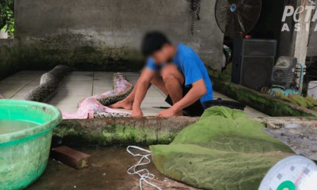 Un frame del video girato da Peta Asia sotto copertura in Vietnam (credita:PetaAsia)