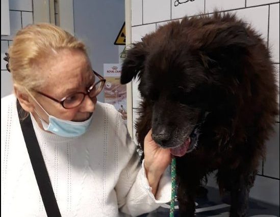 Nerone dal veterinario a ottobre ©ADDA (Associazione per la Difesa dei Diritti degli Animali)