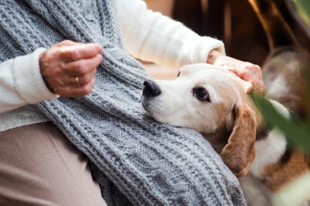 Un cane e una persona anziana