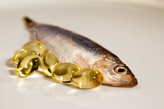 I benefici dell'olio di pesce per i cani