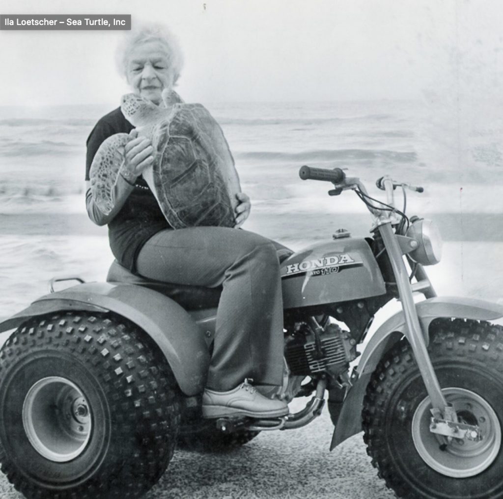 Ila Fox Loetscher