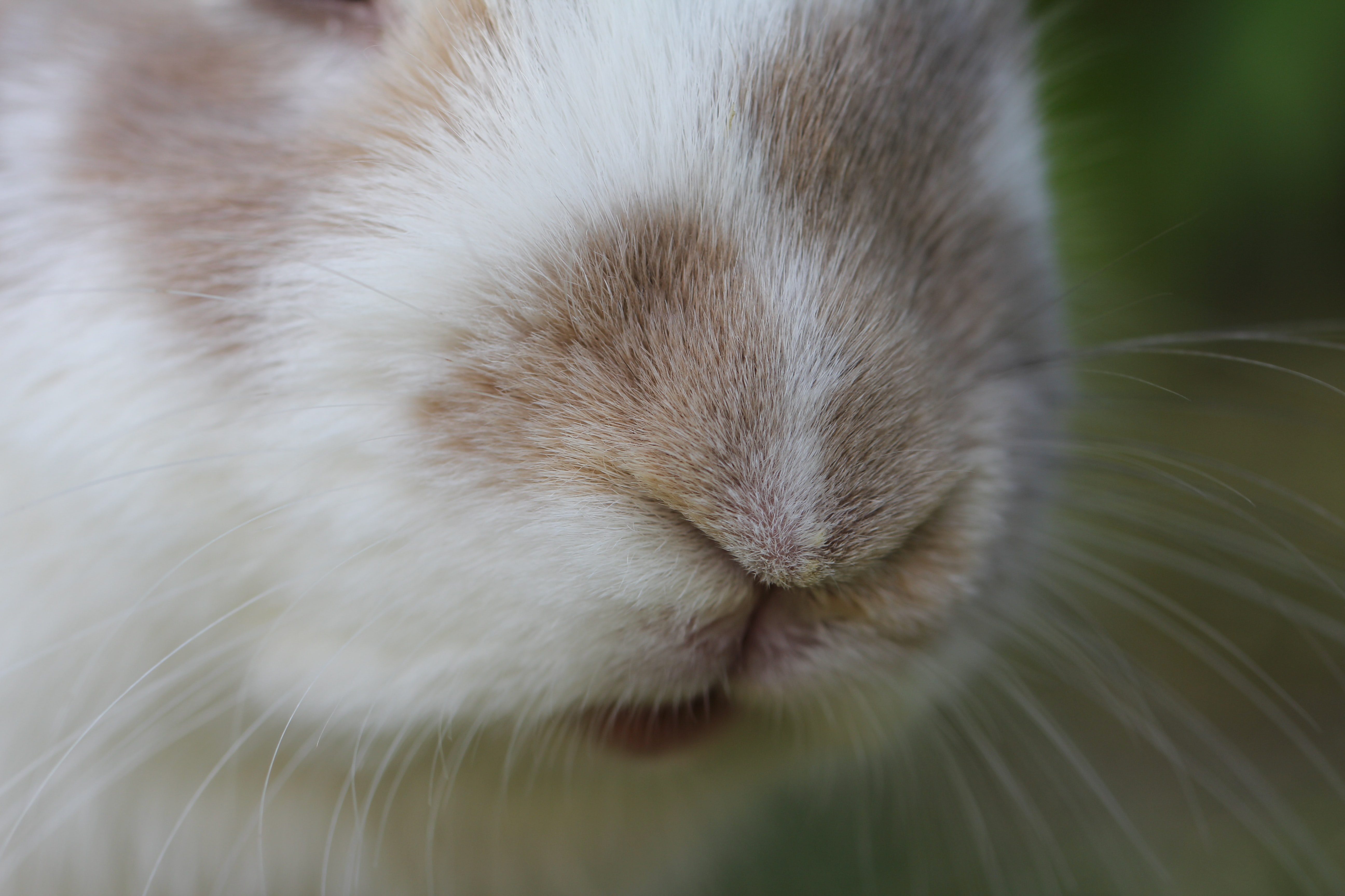 Photo by Sandy Millar on Unsplash