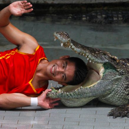 Un’esibizione nello zoo thailandese che ha appena chiuso per covid (credits: Sriracha Tiger Zoo)