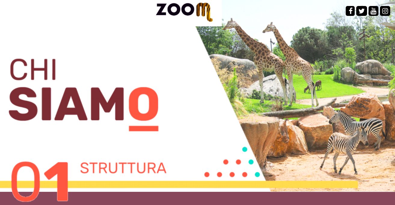 Zoom Torino è un grande bioparco immersivo di 160 mila metri quadrati che ospita 80 specie animali e 10 habitat (credits:sito Zoom)