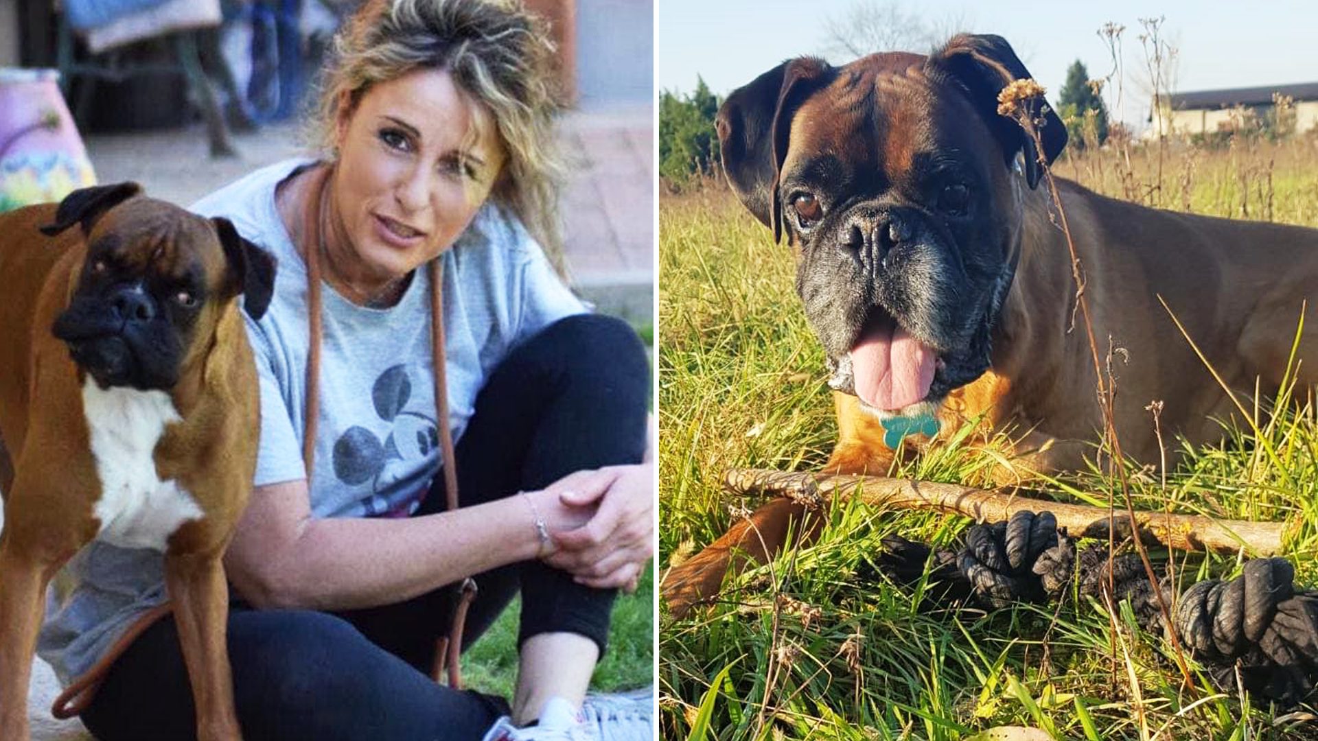 Atlanta boxer rescue