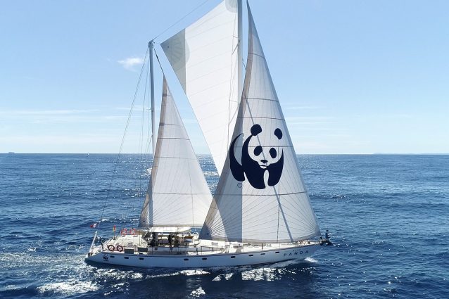 La Blue Panda, la barca del WWF in partenza da Portofino per analizzare lo stato delle acque del Mediterraneo (credits: WWF)