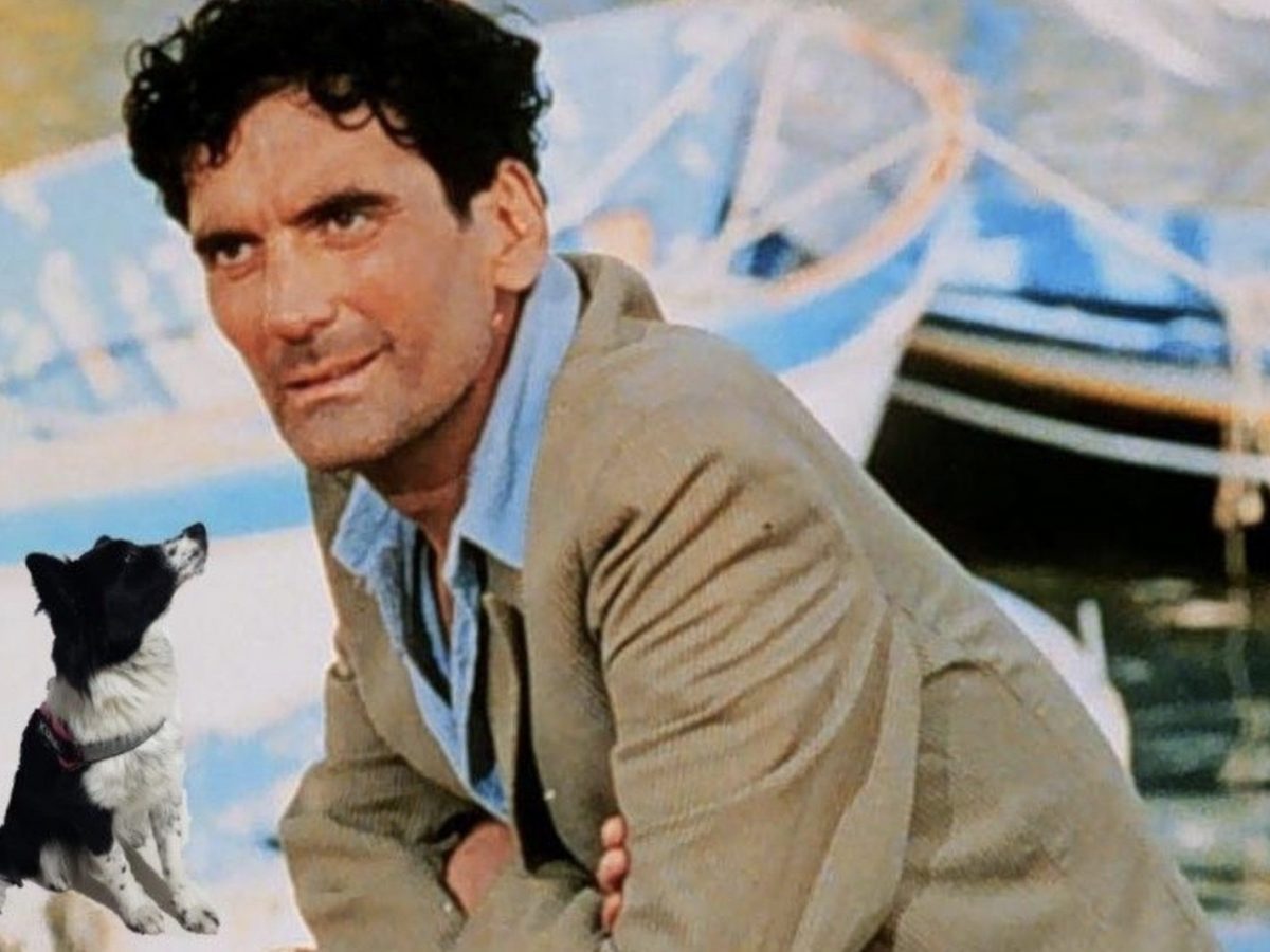 In Che Anno è Morto Massimo Troisi