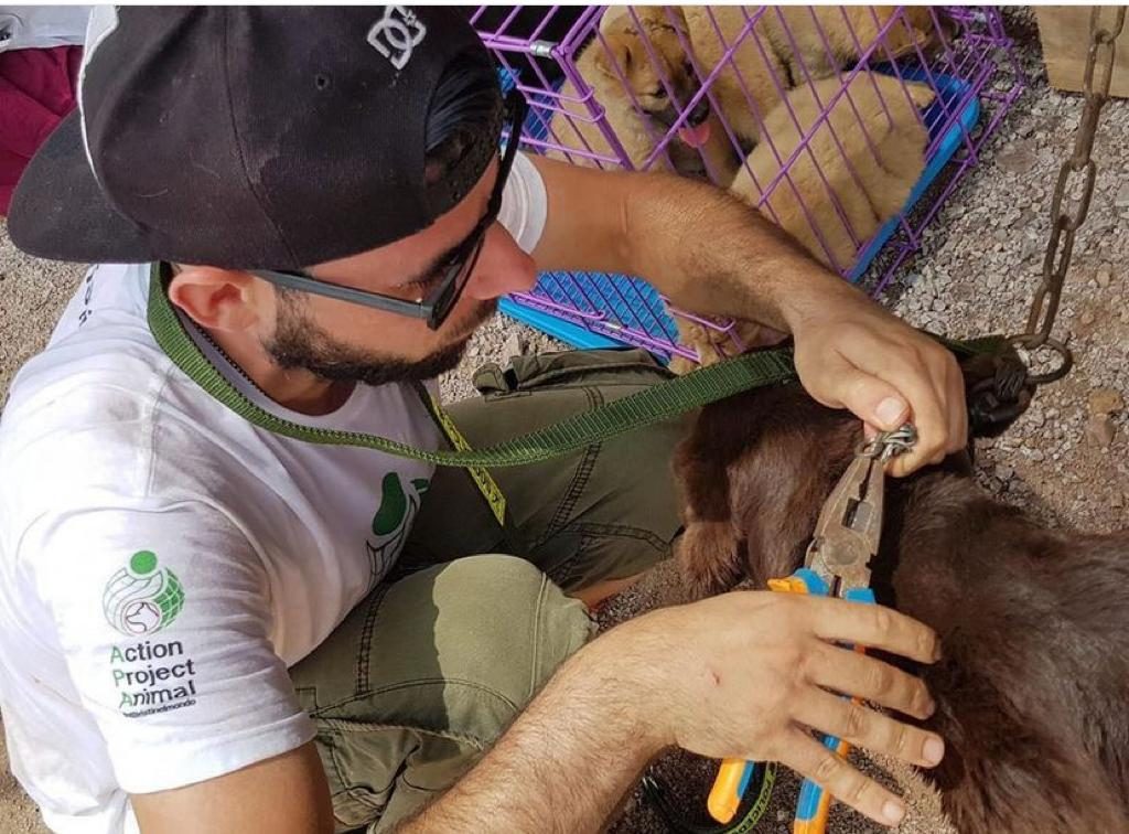 Davide Acito mentre libera un cane durante il Festival di Yulin (credits@Davide Acito)
