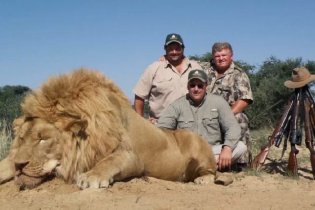 schermata video da un’indagine sotto copertura alla Convention annuale dei cacciatori del Safari Club International a Las Vegas