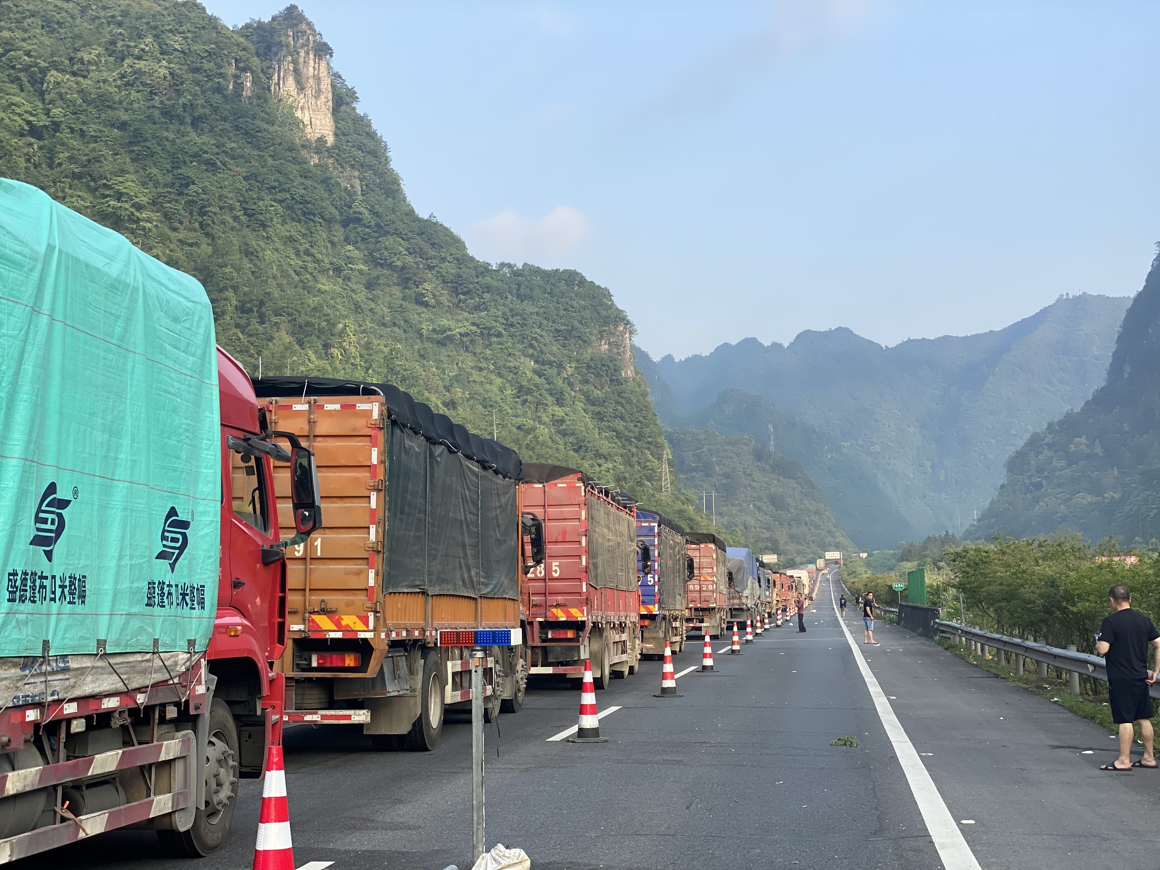 La lunga fila di camion che trasporta gli orsi attraverso il territorio cinese (credits:@Animals Asia)