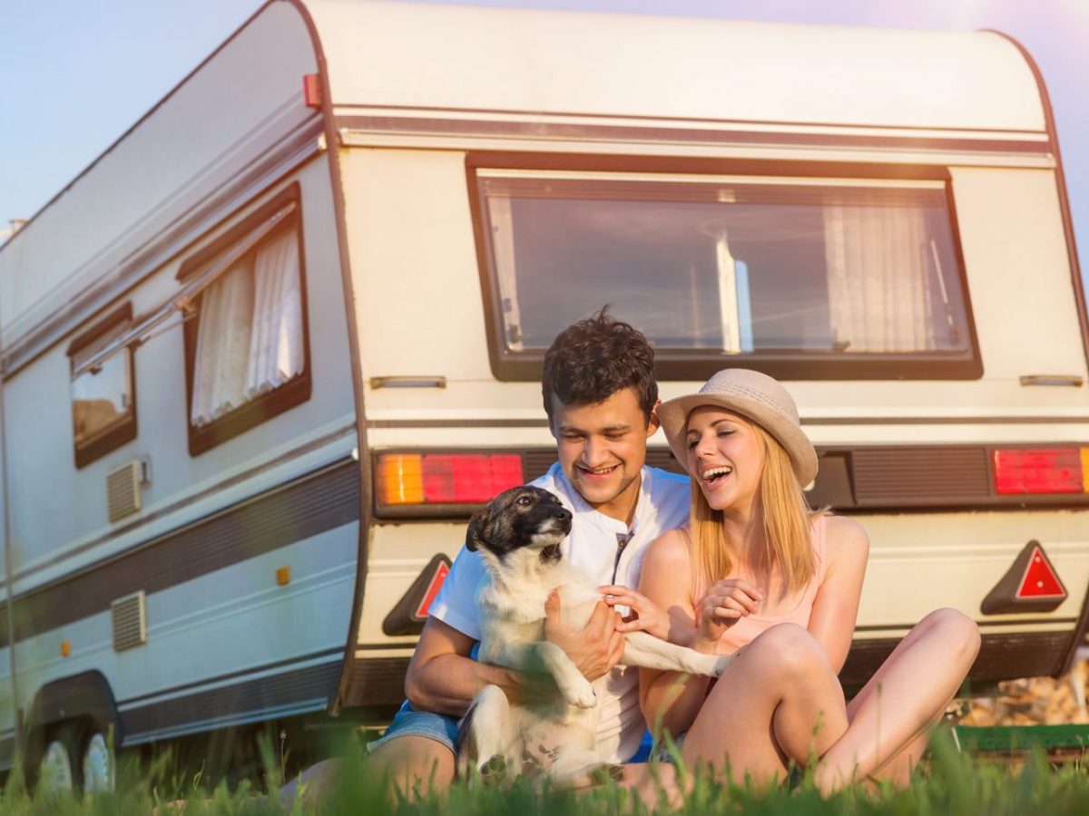 Viaggiare in camper con il cane tutto quello che c'è da sapere