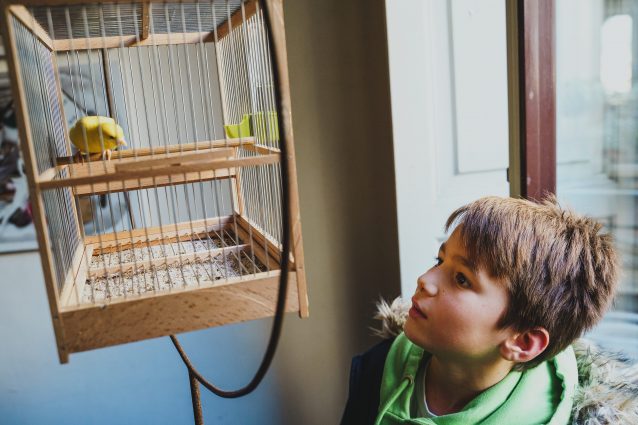 Il piccolo Toti Vasques che interpreta Orlando nel film "Salviamo gli animali" della regista Giovanna Sonnino