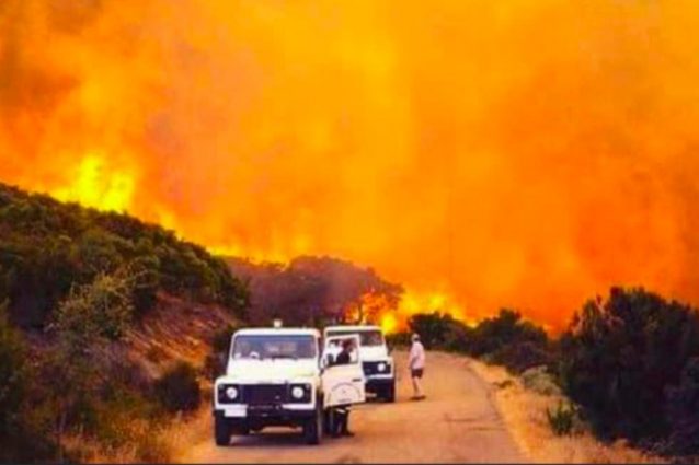 Un’immagine degli incendi nel territorio di Oristano (credits:@ClinicaDuemari)