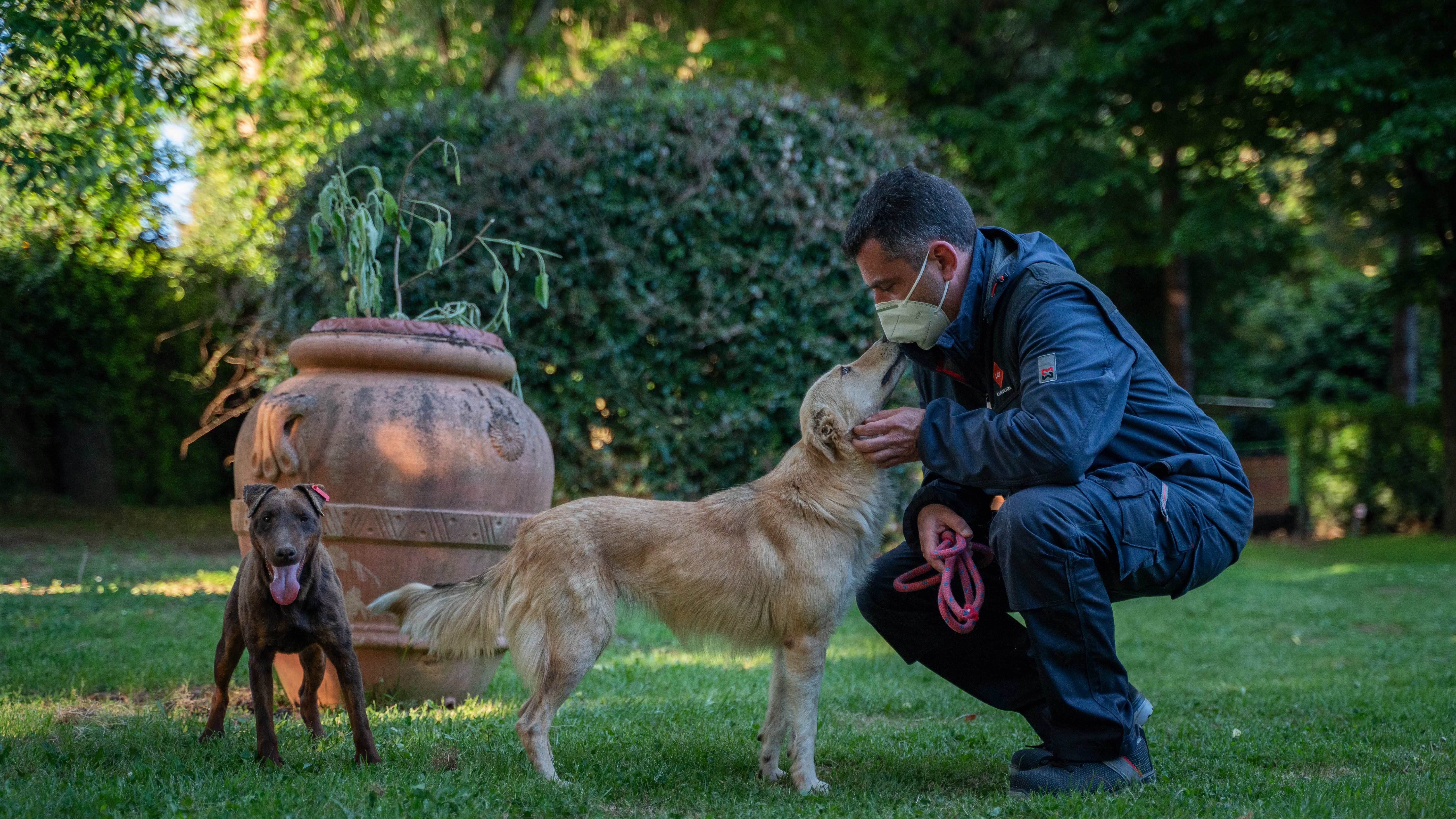 Darkoe i suoi compagni di viaggio si sono mostrati socievoli e mansueti (credits:LAV)