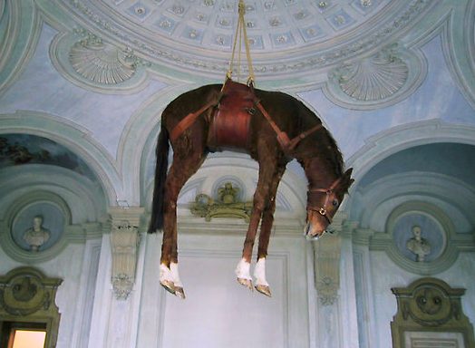 Il cavallo appeso al soffitto di una galleria di Maurizio Cattelan