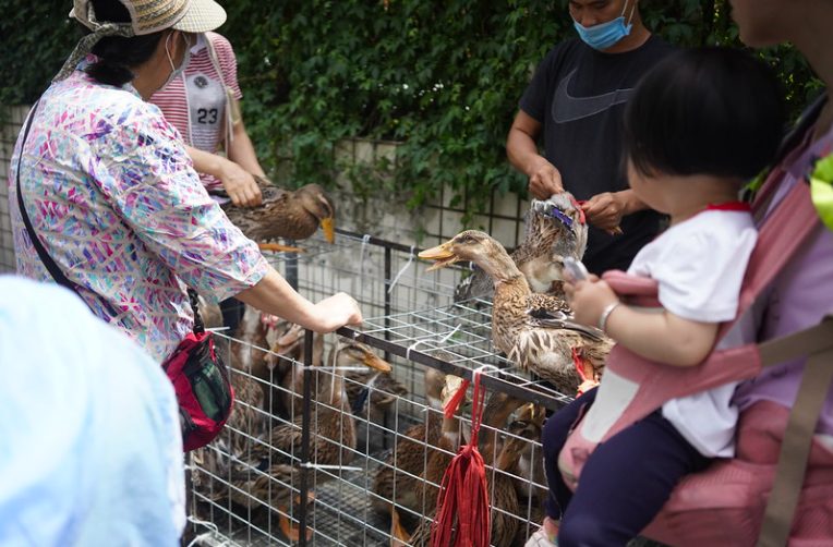 Un wet market orientale, in un’immagine della video inchiesta di Animal Equality (credits:AnimalEqualityItalia)