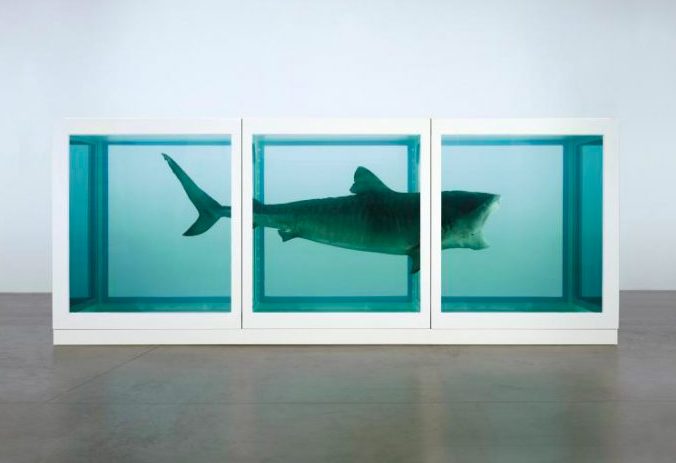 lo squalo di Damien Hirst