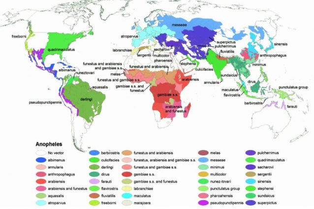 Mappa dei principali vettori della malaria ©Kiszewski, A., Mellinger, A., Spielman, A., Malaney, P., Sachs, S. E., & Sachs, J. (2004). A global index representing the stability of malaria transmission. The American journal of tropical medicine and hygiene, 70(5), 486–498.