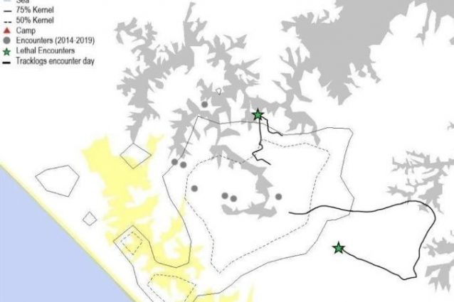 Mappa dei luoghi dove sono avvenuti i due eventi (contrassegnati dalle stelle verdi) ©Sandel, A. A., & Watts, D. P. (2021). Lethal Coalitionary Aggression Associated with a Community Fission in Chimpanzees (Pan troglodytes) at Ngogo, Kibale National Park, Uganda. International Journal of Primatology, 42(1), 26–48