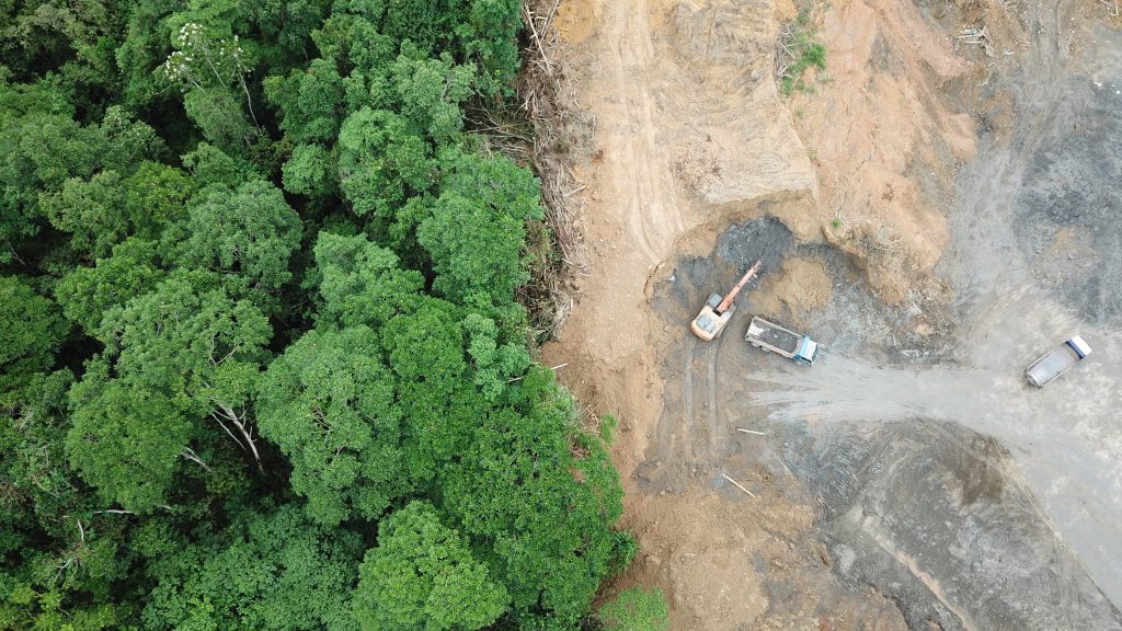 La deforestazione è una delle cause principali del consumo insostenibile delle risorse naturali