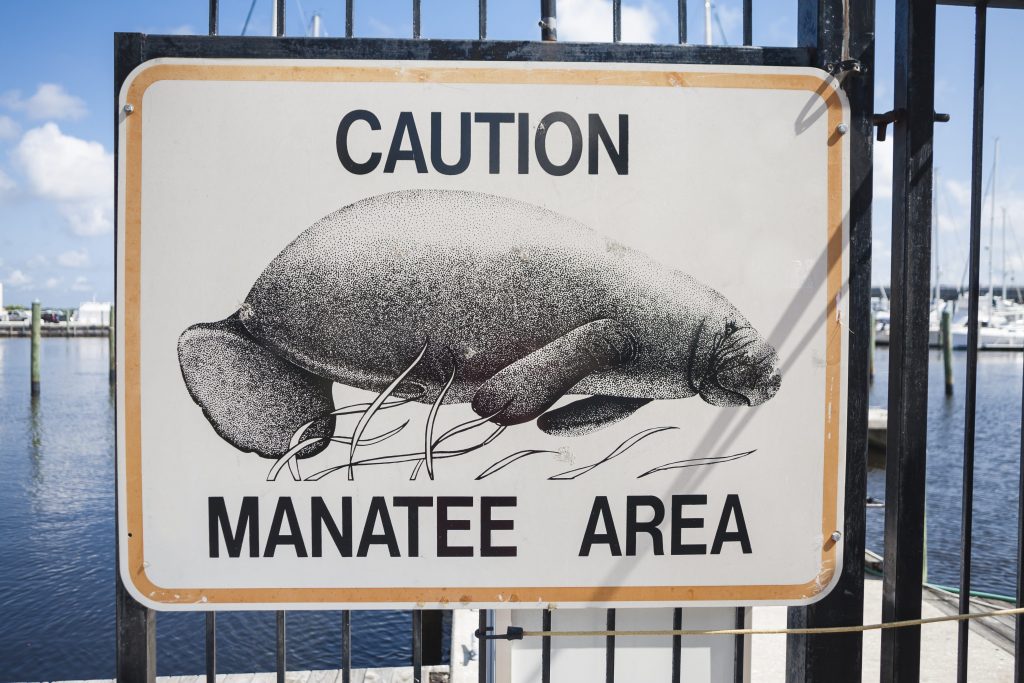 Uno dei tanti segnali di avvertimento presenti nelle vaste zone umide della Florida