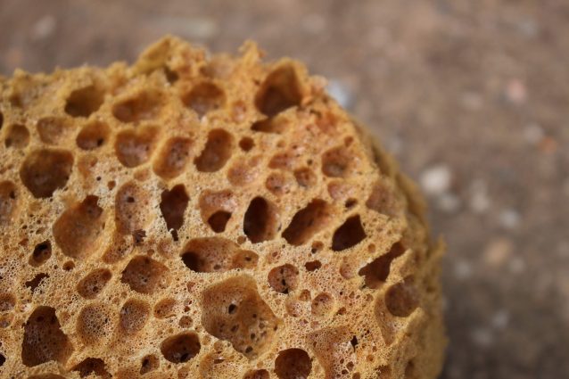 spugna