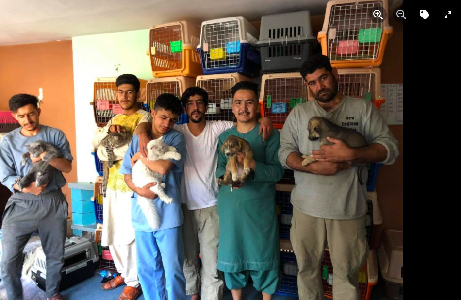 Alcuni collaboratori della Nowzad (foto Facebook)