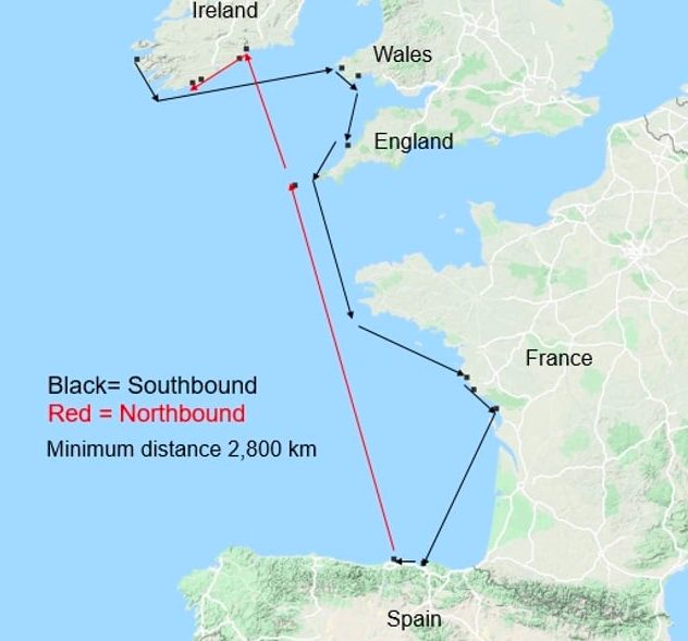 La mappa realizzata da Irish Whale and Dolphin Group