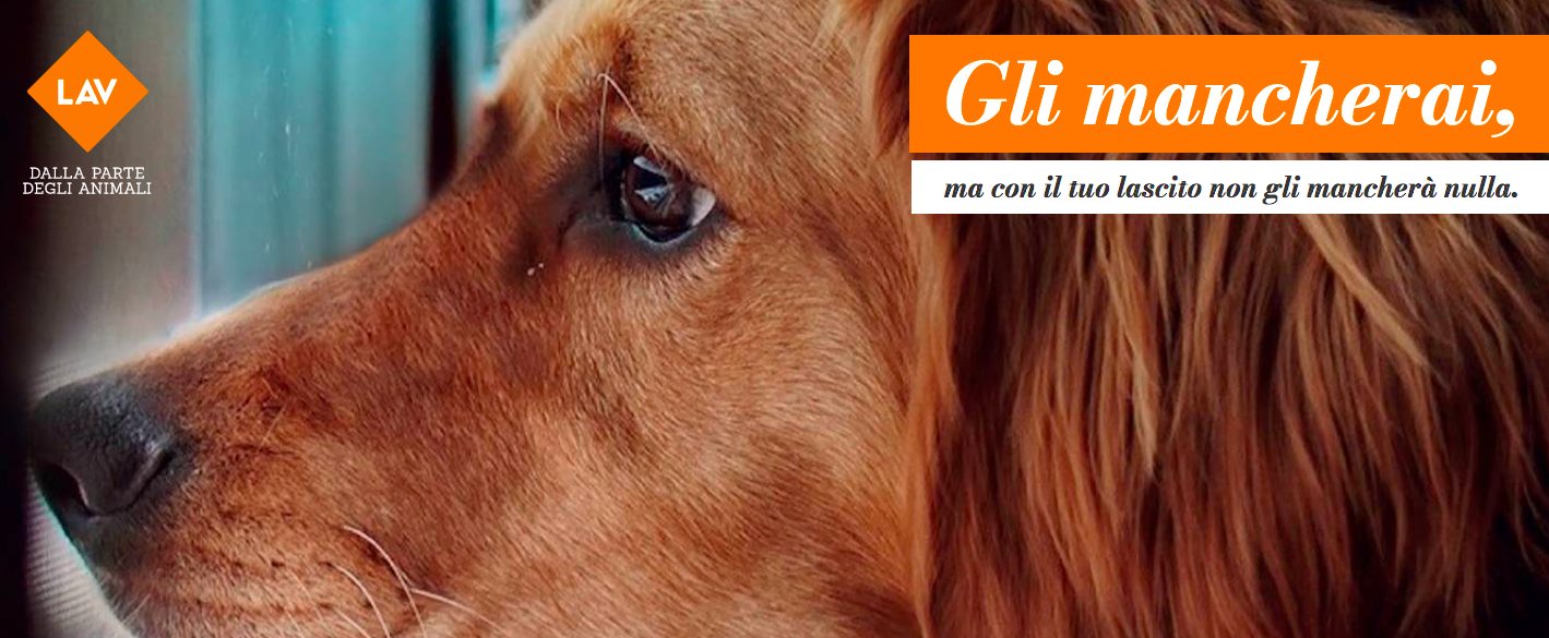 La locandina della campagna di LAV "gli mancherai. Ma con il tuo lascito non gli mancherà nulla" (credits:LAV)
