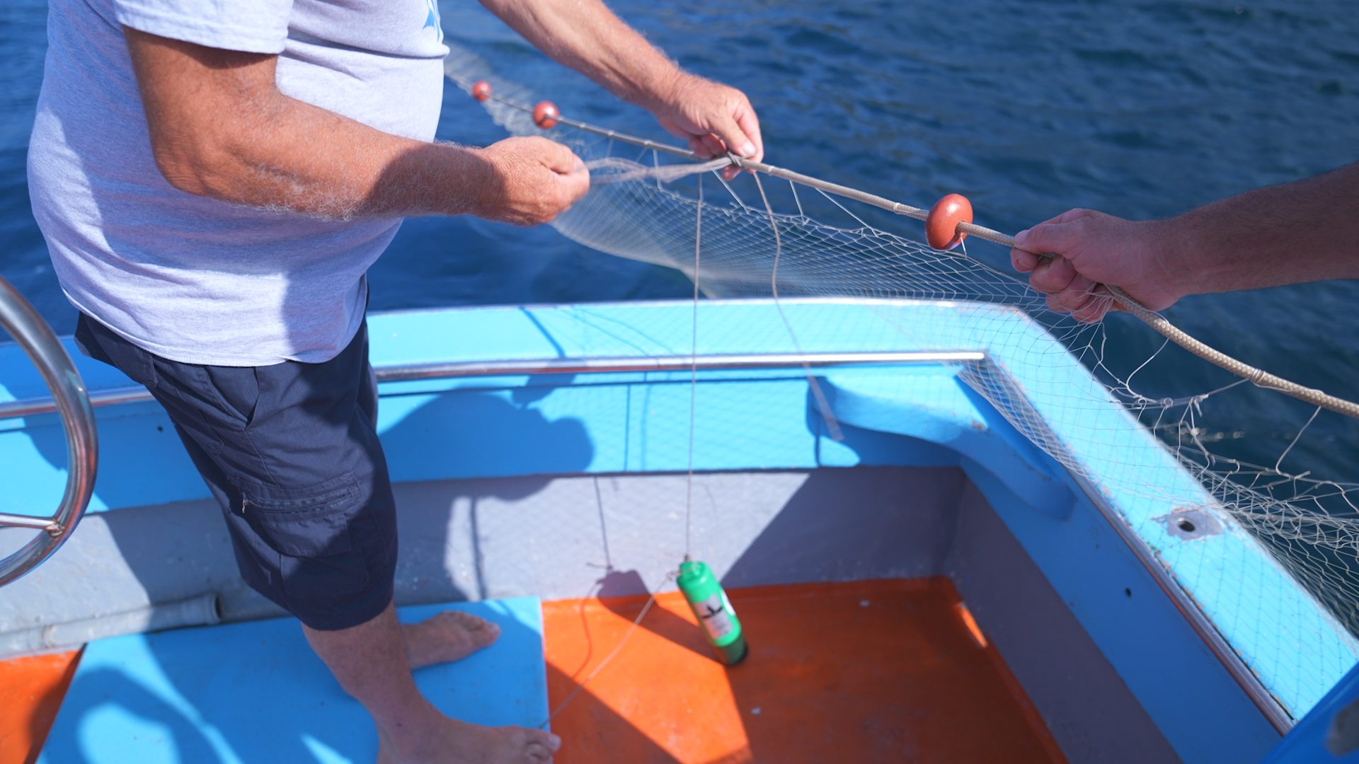 Il dissuasore acustico (in verde) attaccato alle reti dei pescatori