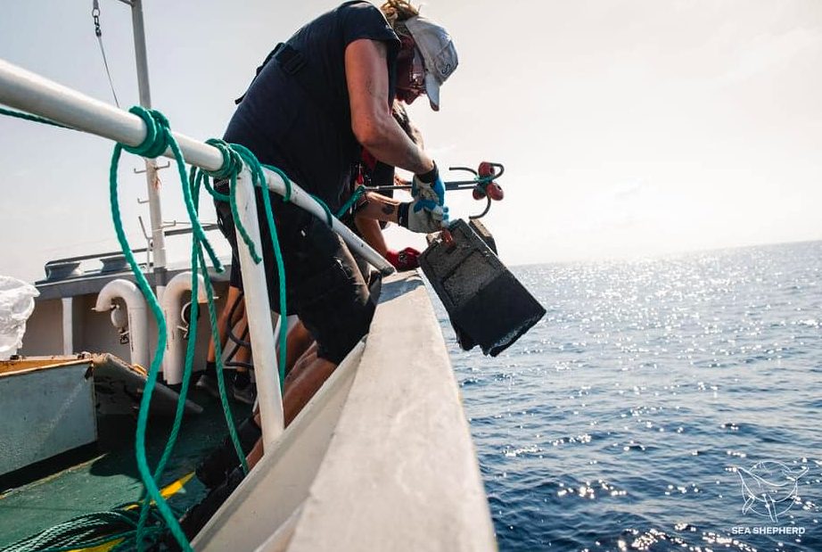 L’ingegnere capo Moje e il marinaio Kamil portano a bordo l’ancoraggio del FAD. Questa ancora è molto pesante, pesa da 40 kg a 80 kg.(credits: @Alice Gregoire / Sea Shepherd)