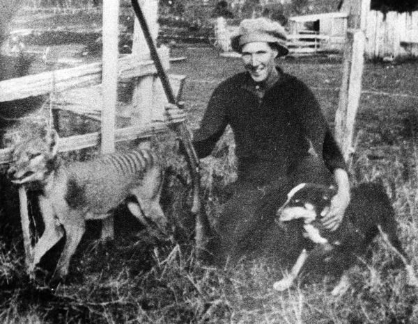 L’agricoltore Wilf Batty e l’ultimo tilacino abbattuto in natura nel 1930