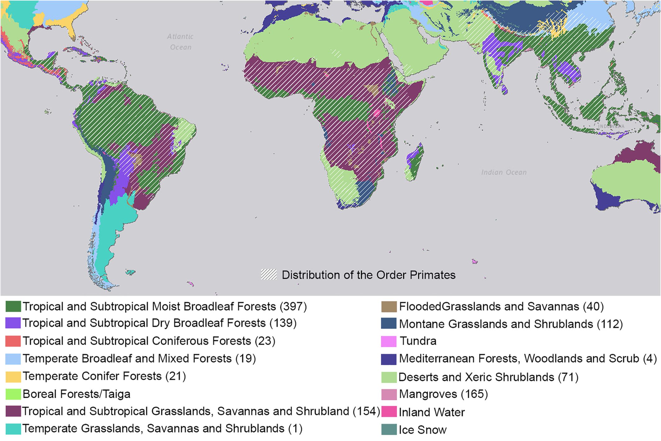 Distribuzione geografica dell’ordine dei Primati © Stacy Lindshield et al, Chimpanzees (Pan troglodytes) in savanna landscapes, Evolutionary Anthropology: Issues, News, and Reviews (2021)