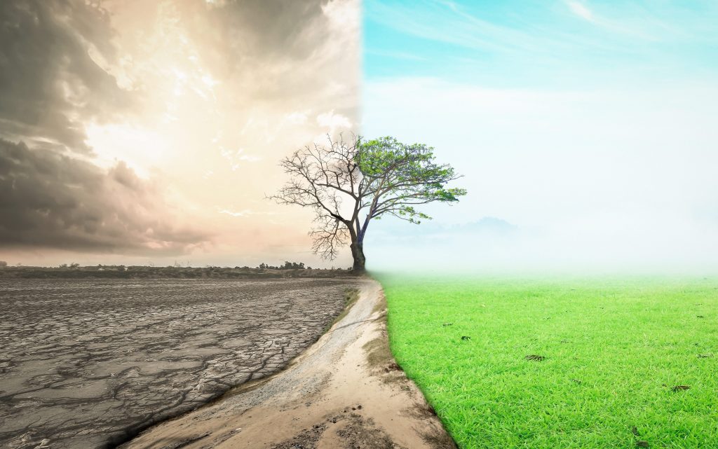 clima cop26, foto copertina | Kodami