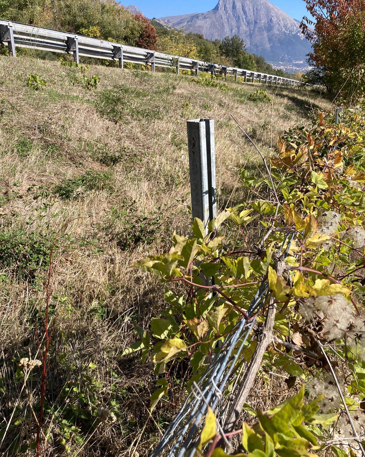 La recinzione a bordo dell’autostrada in corrispondenza del luogo dell’investimento – foto Facebook Parco Abruzzo, Lazio e Molise