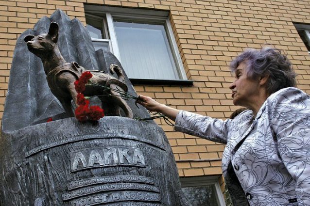 Laika, foto copertina | Kodami