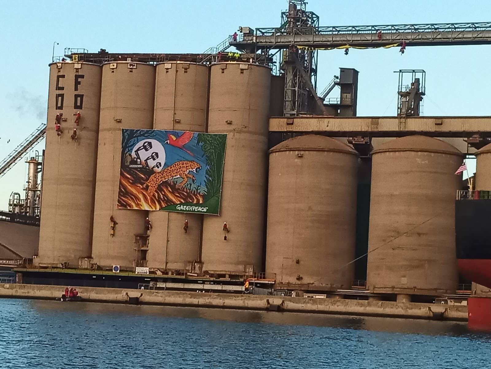 greenpeace